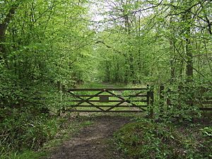 Gate into Hoddesdon Park Wood - geograph.org.uk - 787144