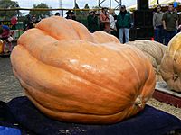 Giant Pumpkin Festival 10.20.07 115
