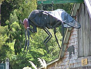 Giant sandfly, Pukekura