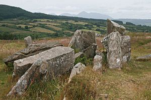 Giants' Graves, near Whiting Bay, Isle of Arran - geograph.org.uk - 1959058.jpg