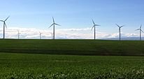 Gilliam Wheat and Wind Farming