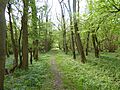 Glapthorn Cow Pasture 14