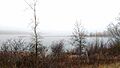 Guelph Lake Late Fall Fog