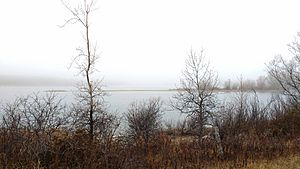 Guelph Lake Late Fall Fog
