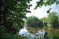 HatfieldMA MillDam