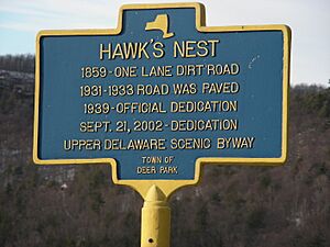 HawkNest3
