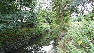 Hogsmill River in Elmbridge Meadows