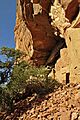 Honanki Ruins cliff dwelling