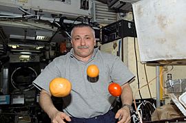 ISS-15 Fruits