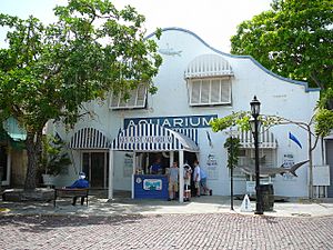 Key West Aquarium.jpg