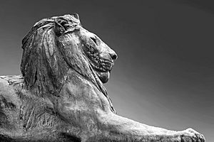 Lions, Rhodes Memorial, Cape Town