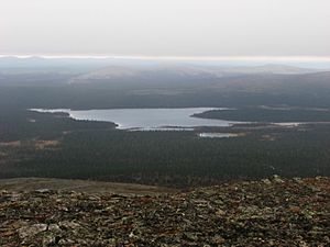 Luirojärvi from Sokosti