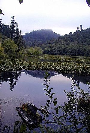 Marshall pond
