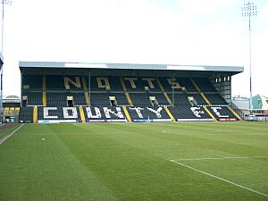 MeadowLane1