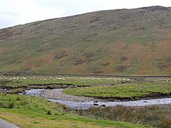 Meander in the Scaur Water - geograph.org.uk - 1553091