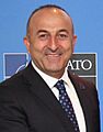 Mevlüt Çavuşoğlu (cropped)