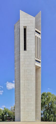 National Carillon, ACT - Rectilinear projection