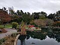 New Hanover County Arboretum 04