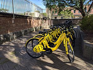 Ofo bikes near St Peter's station December 2017