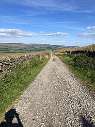 Old roman road, now bridle path, towards Bainbridge, Yorkshire