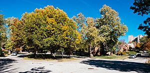 Omaha Morton Meadows Neighborhood