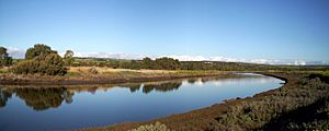 Onkaparinga Estuary 2