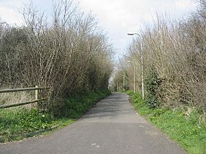 Pencoedtre Lane, Barry. - geograph.org.uk - 383687