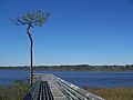 Pensacola FL Tarkiln Bayou SP Claire bdwlk06