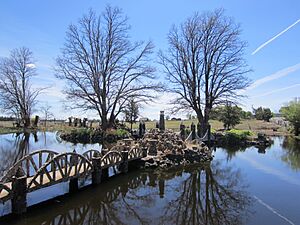 Petersen Rock Garden - Oregon (2013) - 19