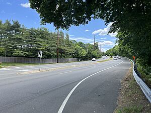 Port Washington Boulevard (NY 101), Flower Hill, NY June 5, 2023 A