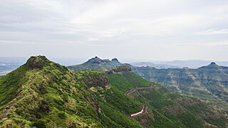 Purandar Landscape 2