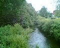 River Wye Wooburn