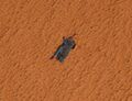 STS-119 bat