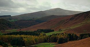 Scarr Mountain from the Guinness Estate, Luggala