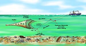 Schéma de pêche - chalut pélagique (Ifremer 00581-69329)