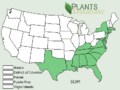Schwalbea americanus Distribution