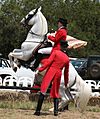 South African Lipizzaners-001
