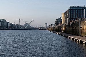 THE SAMUEL BECKETT BRIDGE 11 JANUARY 2018 (STILL TRYING FOR A UNIQUE IMAGE OF THIS BRIDGE)-135491 (39626174772)