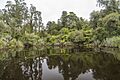 TWC Waitoto River• Stewart Nimmo • MRD 1018
