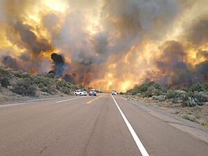 Tamarack Fire - 2021 07 22-18.14.55.695-CDT