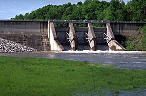 Tellico Dam.jpg