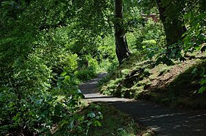 The Falls Park situated in west Belfast - geograph.org.uk