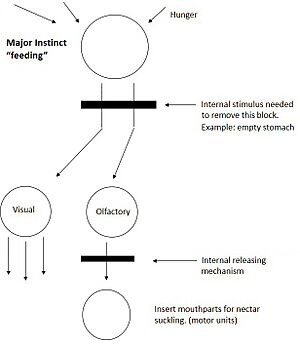 Tinbergen good figure wiki2