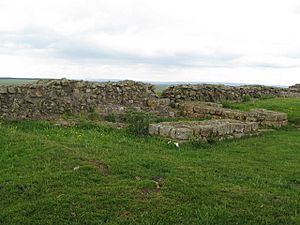 Turret west of Milecastle 35 - geograph.org.uk - 472635