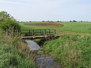 Vale of Pickering - geograph.org.uk - 415976