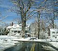 Winter scene Summit NJ with trees and road and houses
