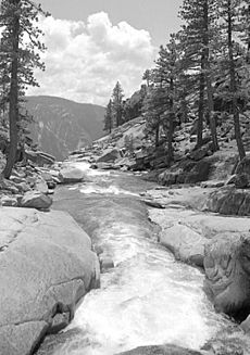 Yosemite-creek-bw