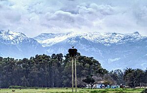 A view of mount ghorghiz in Tetouan. 