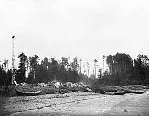 Abandoned Haida village of Dadens on Langara Island, British Columbia (268)
