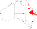 Acacia macradeniaDistMap571